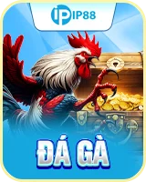 đá gà ip88