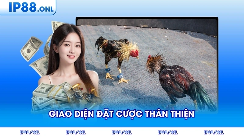 Giao diện đặt cược thân thiện với người dùng mới