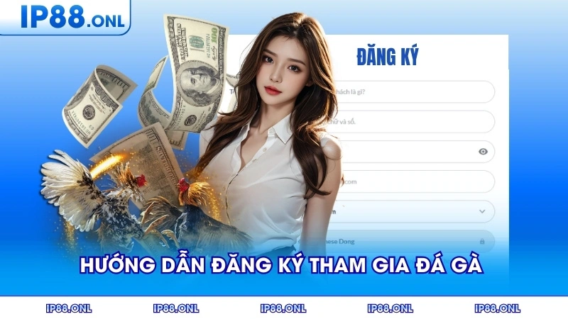 Hướng dẫn đăng ký tham gia đá gà trực tuyến chi tiết