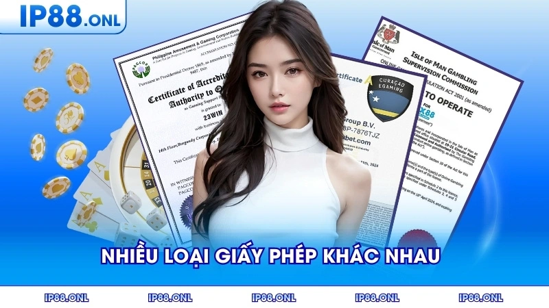 Nhiều loại giấy phép khác nhau cấp bởi các cơ quan quản lý