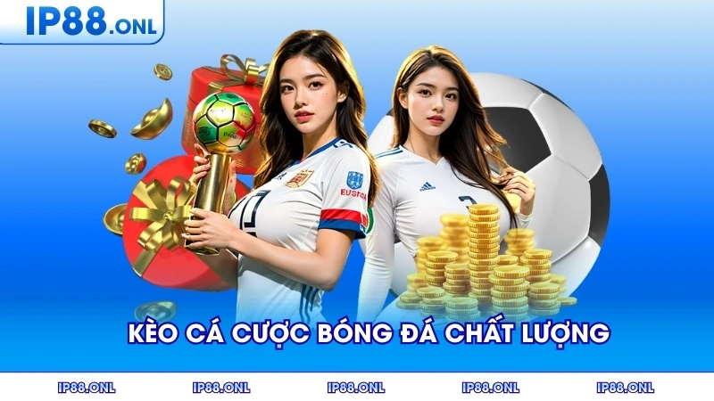 Tìm Hiểu Về Kèo Cá Cược Bóng Đá Chất Lượng