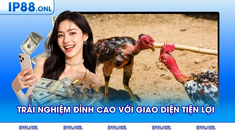 Trải nghiệm đỉnh cao với giao diện tiện lợi và bảo mật